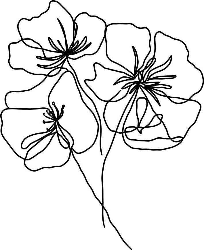 Plakát Veronika Boulová Květy