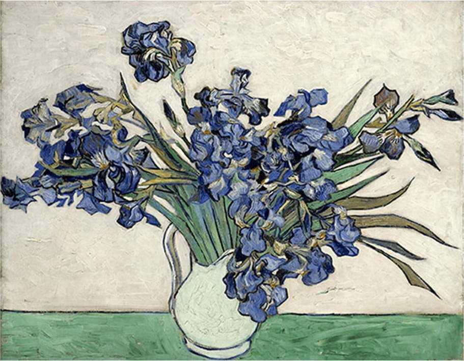 Reprodukce obrazu Vincenta van Gogha - Irises 2