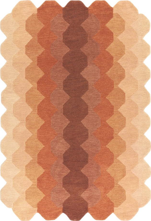 Vlněný koberec v cihlové barvě 160x230 cm Hive – Asiatic Carpets Asiatic Carpets