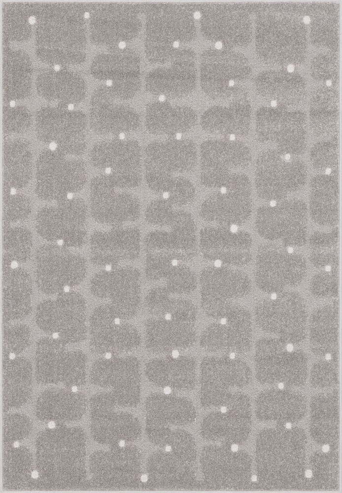 Šedý koberec 160x230 cm Lori – FD FD